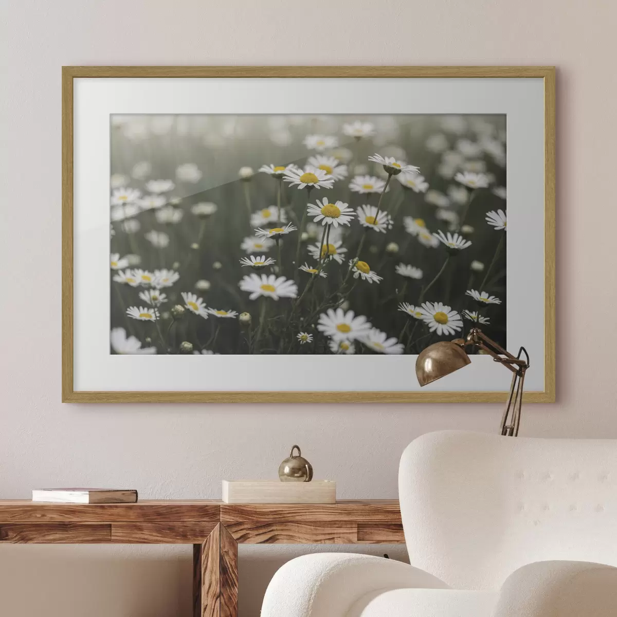 Poster Ein Feld voller weißer Gänseblümchen mit gelben Blütenmitten f50588