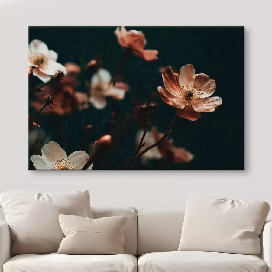 Fototapete Blumen in warmen Farbtönen vor einem dunklen Hintergrund s50578