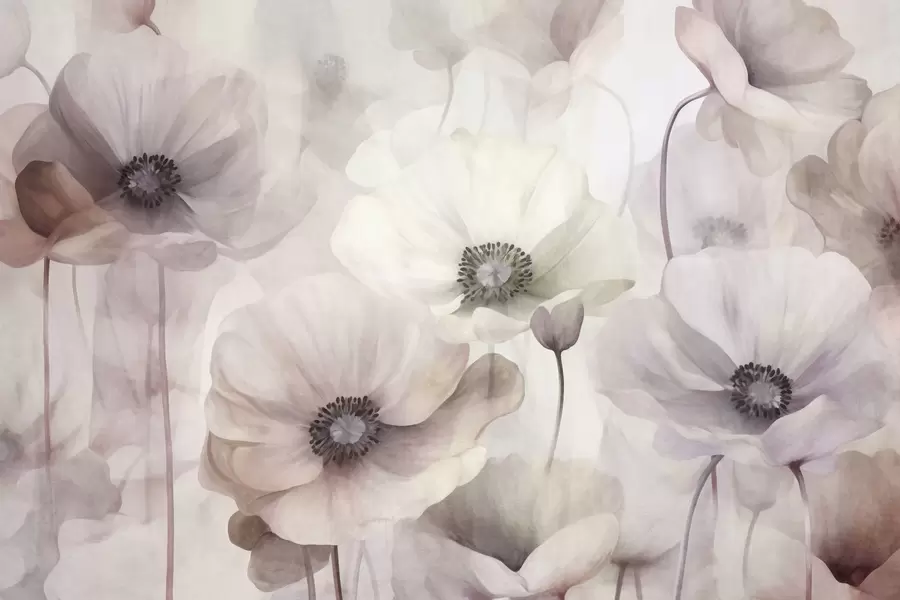 Fototapete Blassrosa und beigefarbene Mohnblumen mit zarten Blütenblättern w10029
