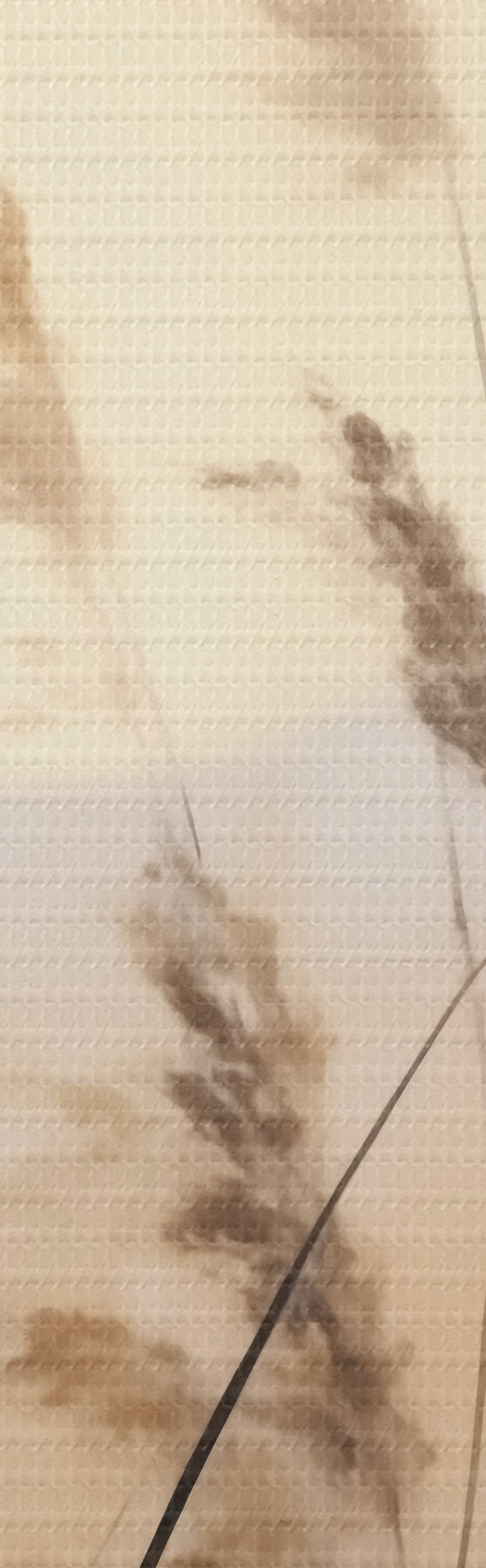 Fototapete Abstrakte Kräuter, Imitationsmalerei s50986