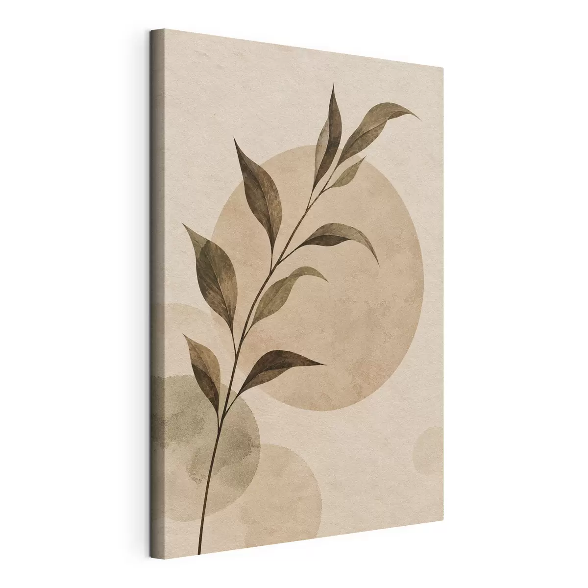 Fototapete Botanische Harmonie s50722