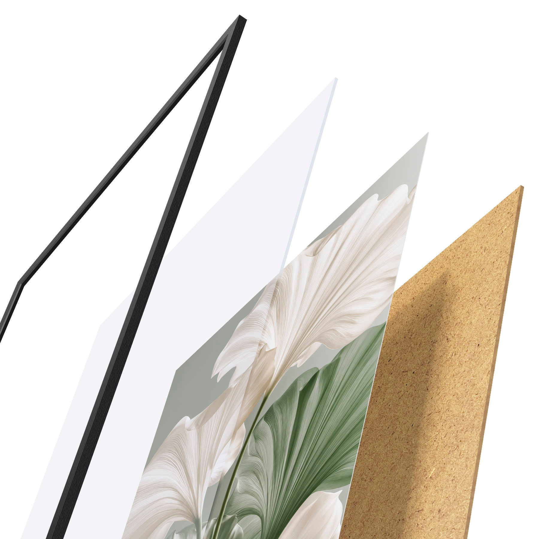 Poster Zarte Blätter f50867