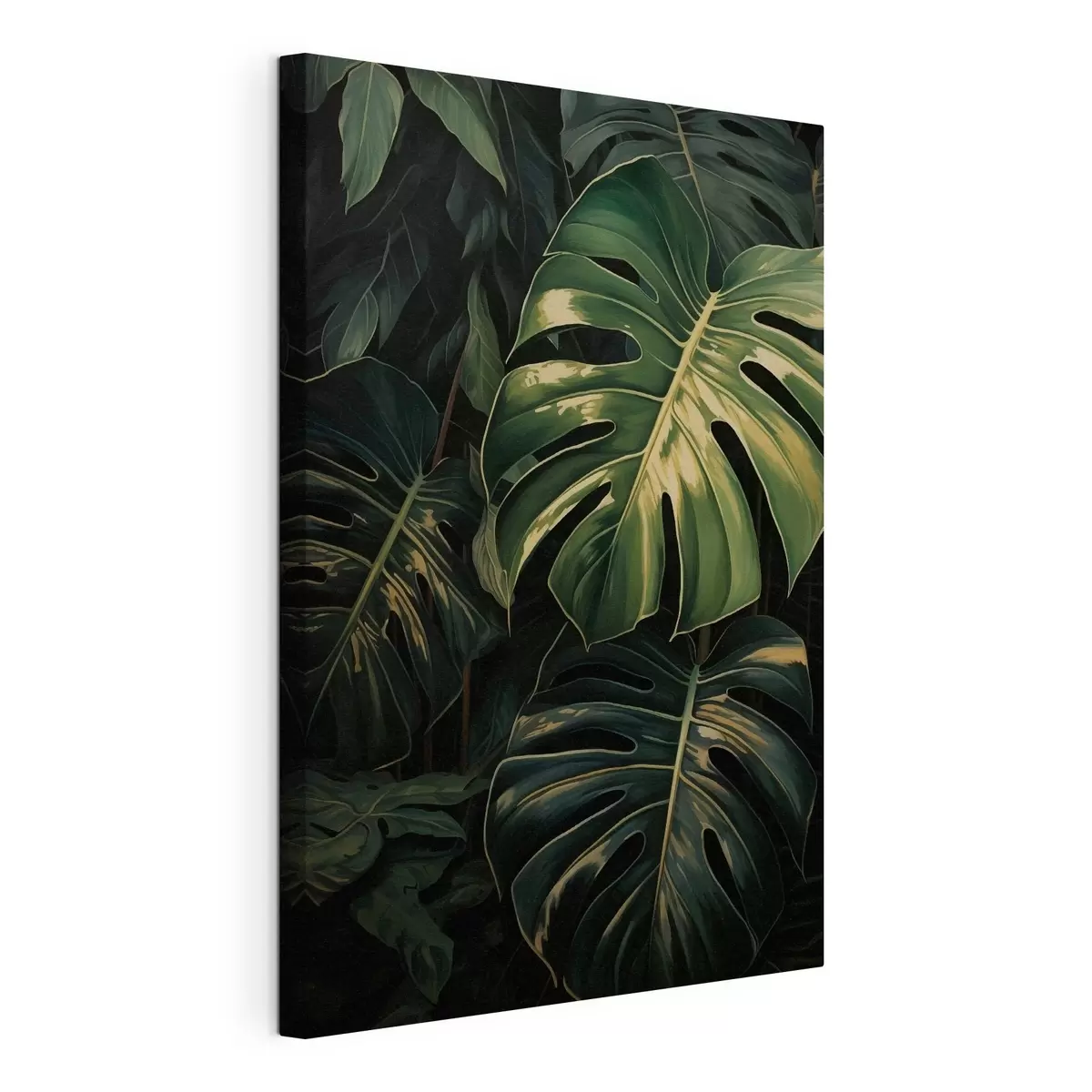 Fototapete Glänzende Monstera-Blätter in dunklen Tropen s51091