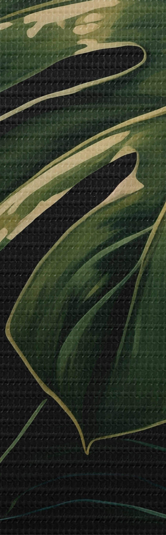Fototapete Glänzende Monstera-Blätter in dunklen Tropen s51091