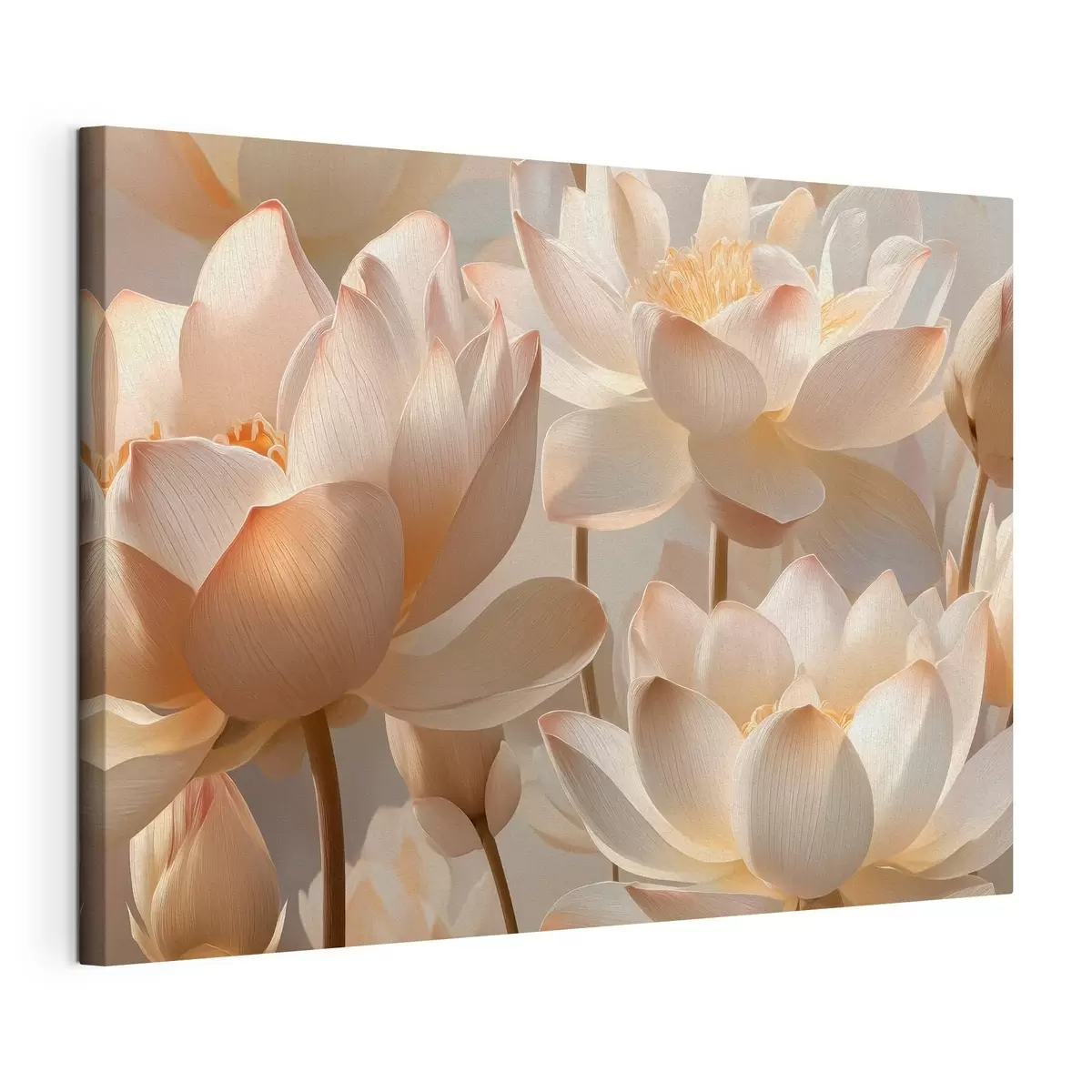 Fototapete Zarte Seerosen und Lotusblumen s51092