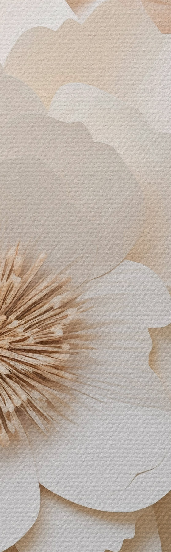 Fototapete 3D-Gipsrelief mit weißen Blumen s51096