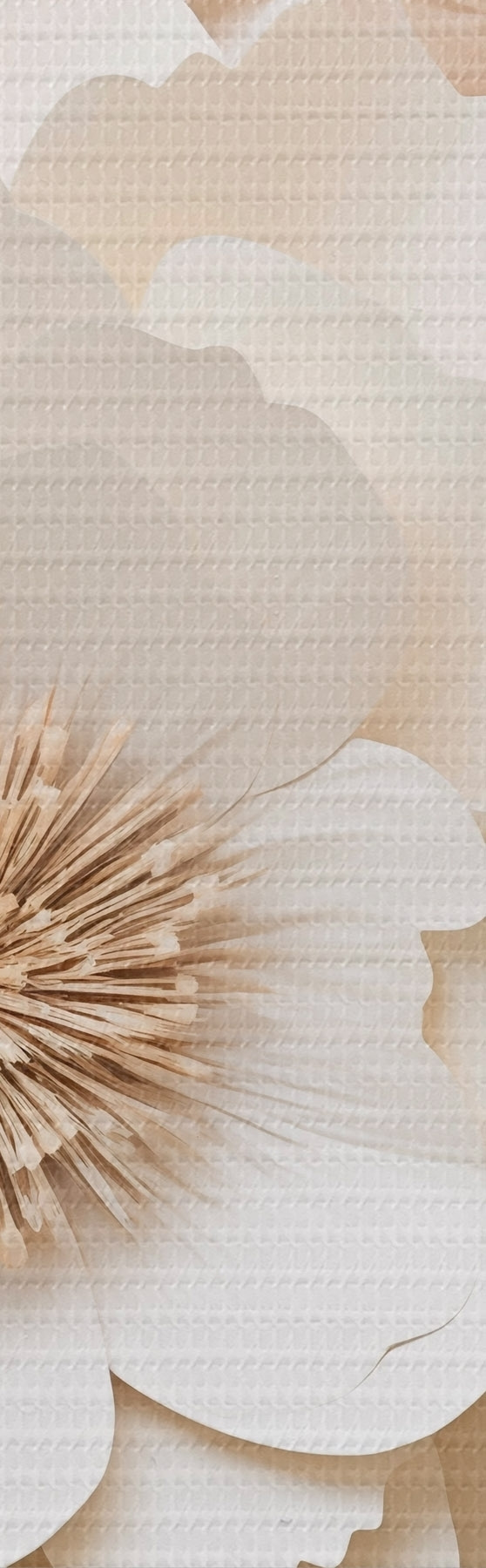 Fototapete 3D-Gipsrelief mit weißen Blumen s51096