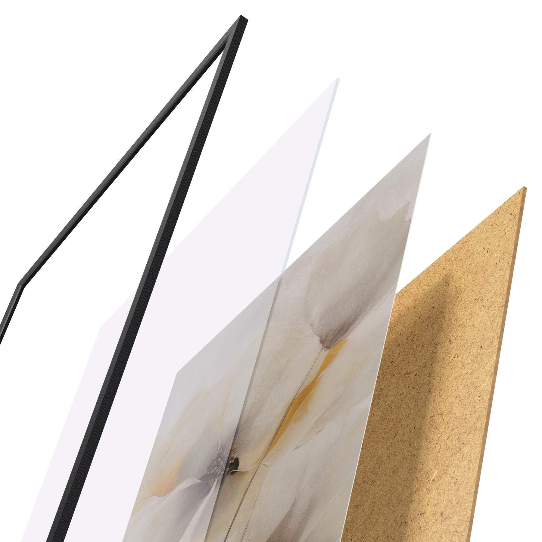 Poster Zarte Mohnblumen an schlanken Stielen f51089