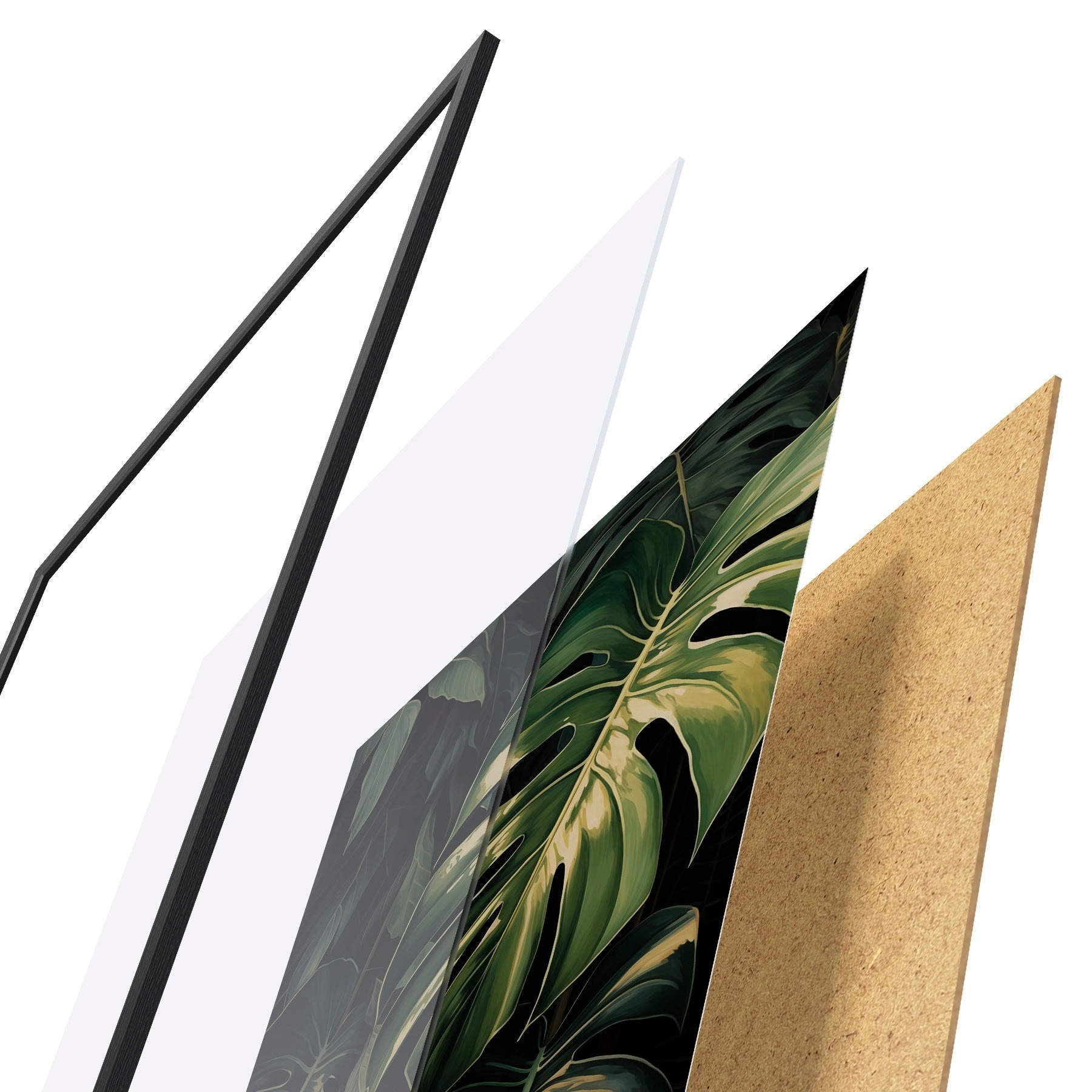Poster Glänzende Monstera-Blätter in dunklen Tropen f51091