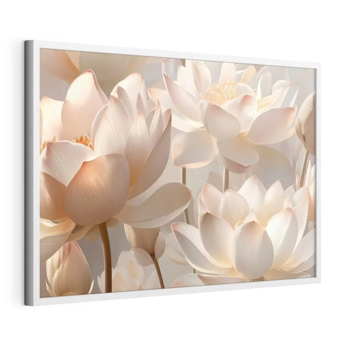 Poster Zarte Seerosen und Lotusblumen f51092