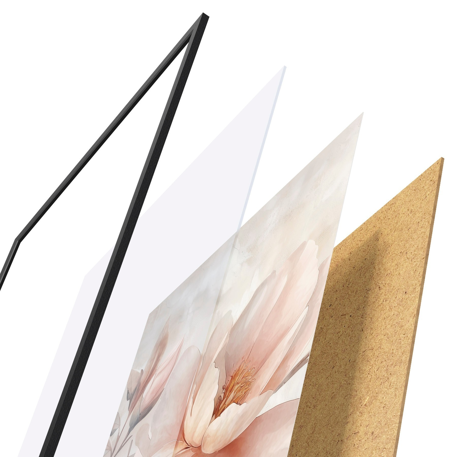 Poster Pudrige Pfingstrose mit Knospe f51097