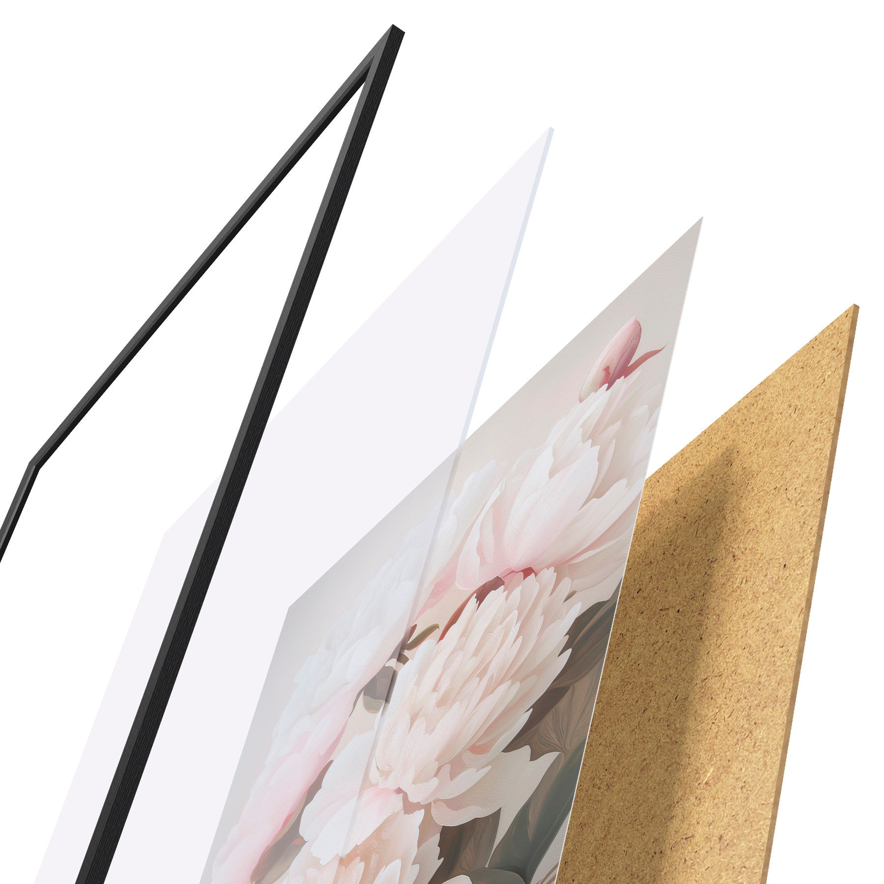 Poster Pfingstrosen f51153