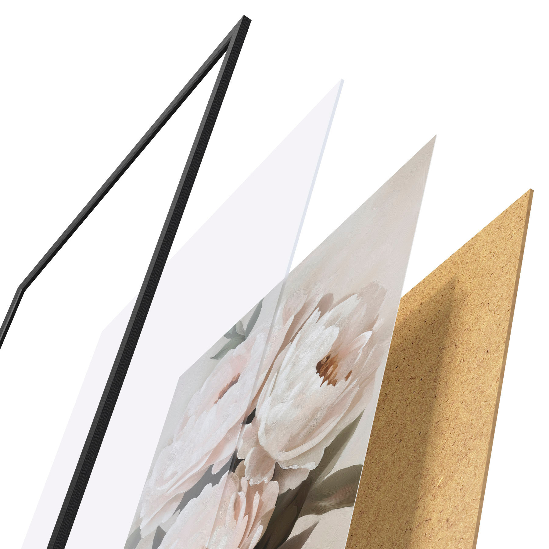 Poster Pfingstrosen f51154