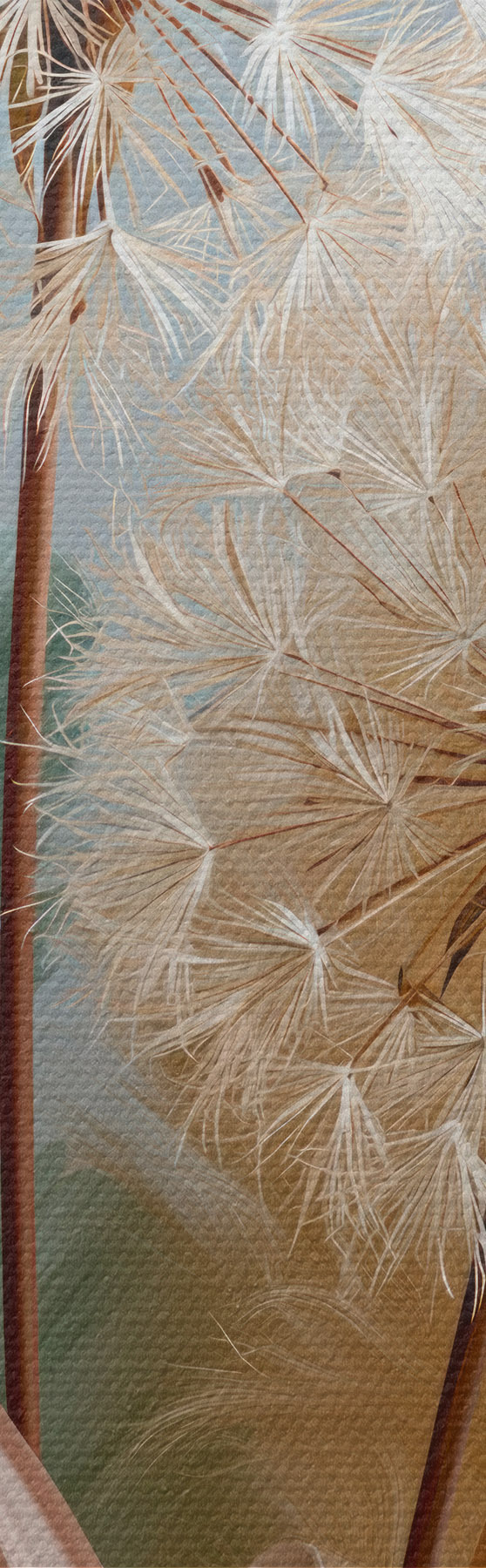 Fototapete Zarte Löwenzahnblüten und Wildblumen s51182