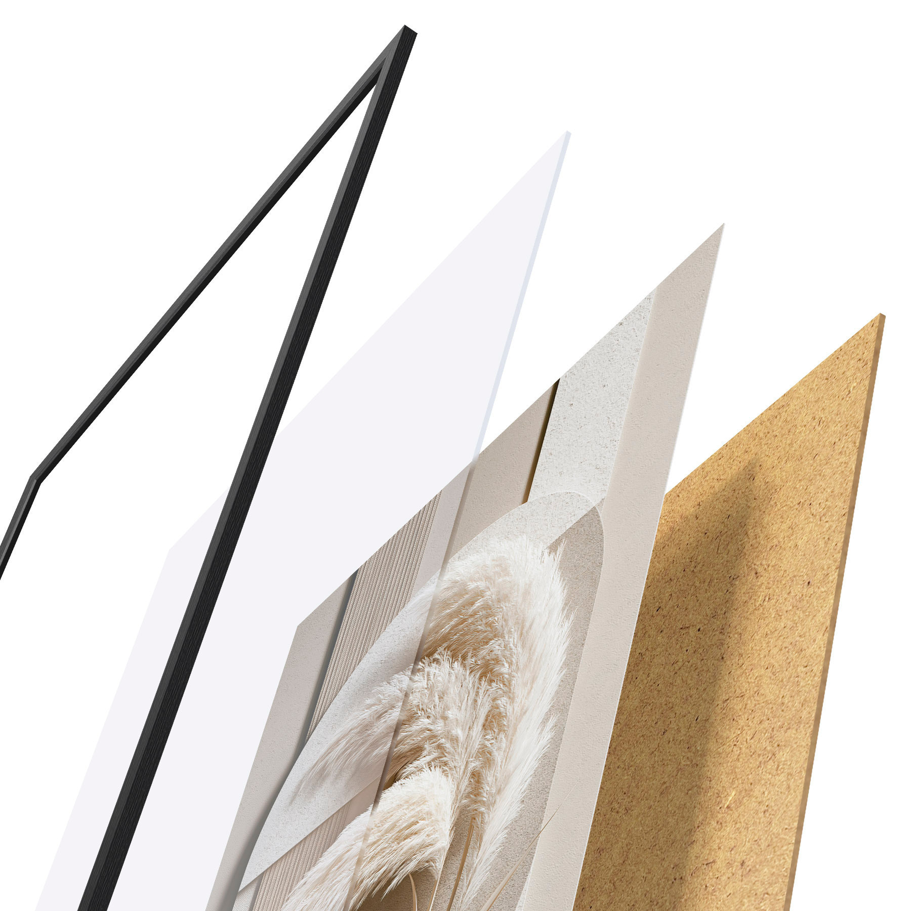 Poster Pampasgras und geometrische Bögen f50869