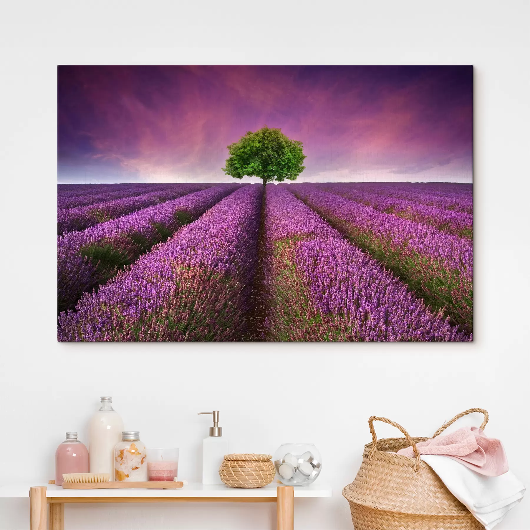 Fototapete Blume, Himmel und Pflanze s05061