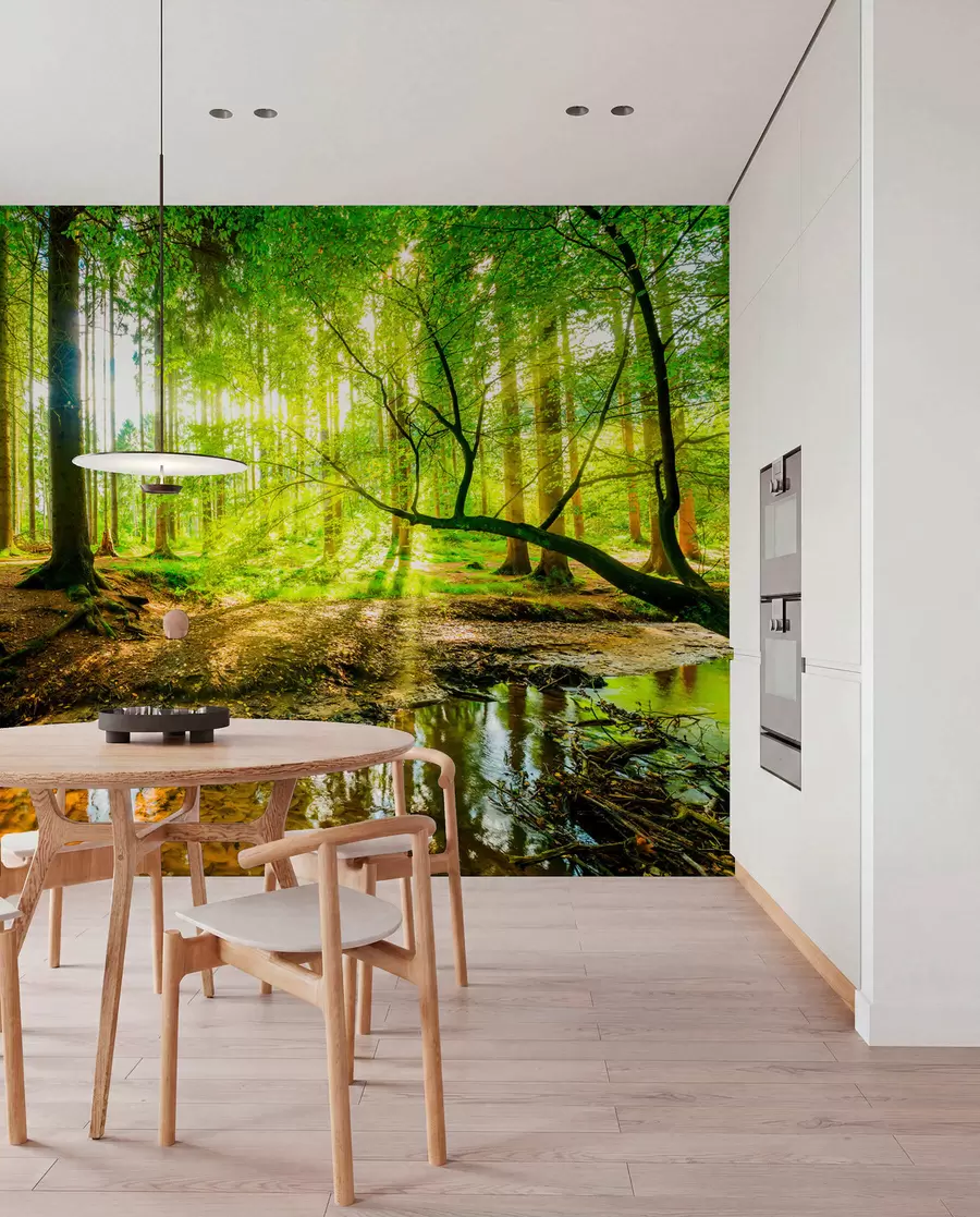 Fototapete Waldbach im Sonnenlicht u93621