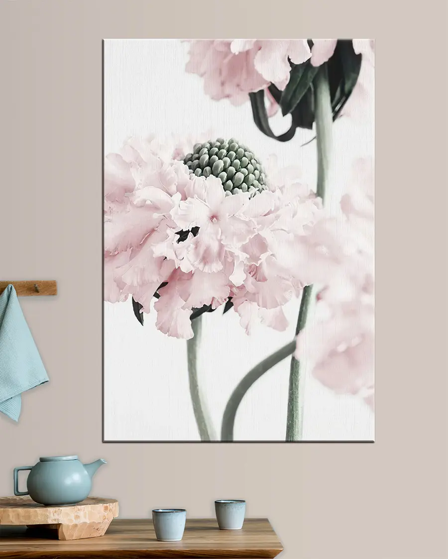 Fototapete Blume, Pflanze und Blütenblatt s21797