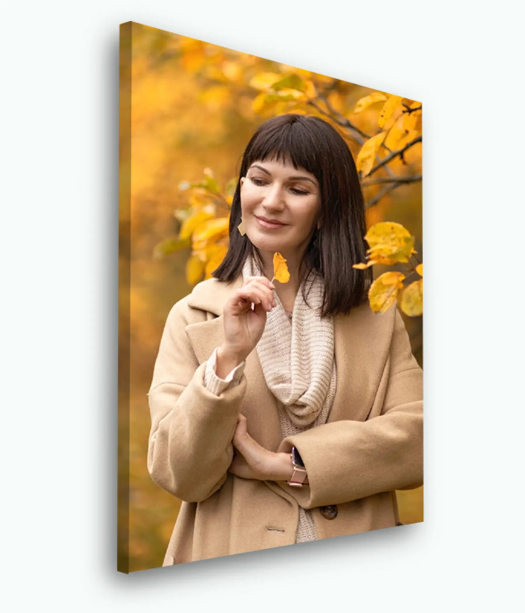 Fototapete Kaufen Sie ein Bild von einer Fotografie s33290