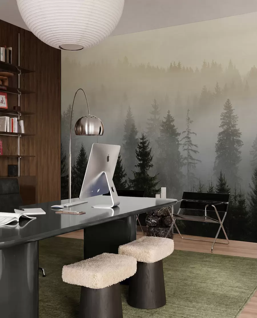 Fototapete Silhouette einer dunklen Fichte, umgeben von Nebel u96999