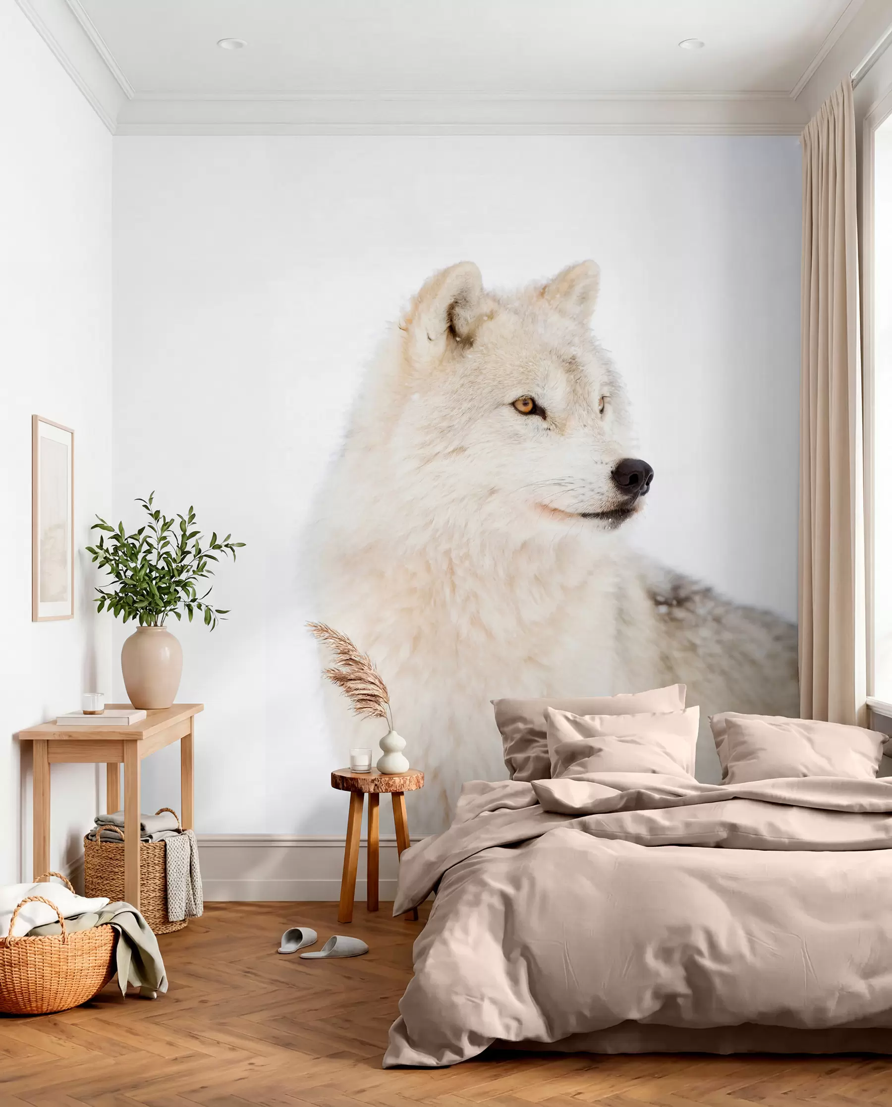 Fototapete Arktischer Wolf auf weißem Hintergrund u98189