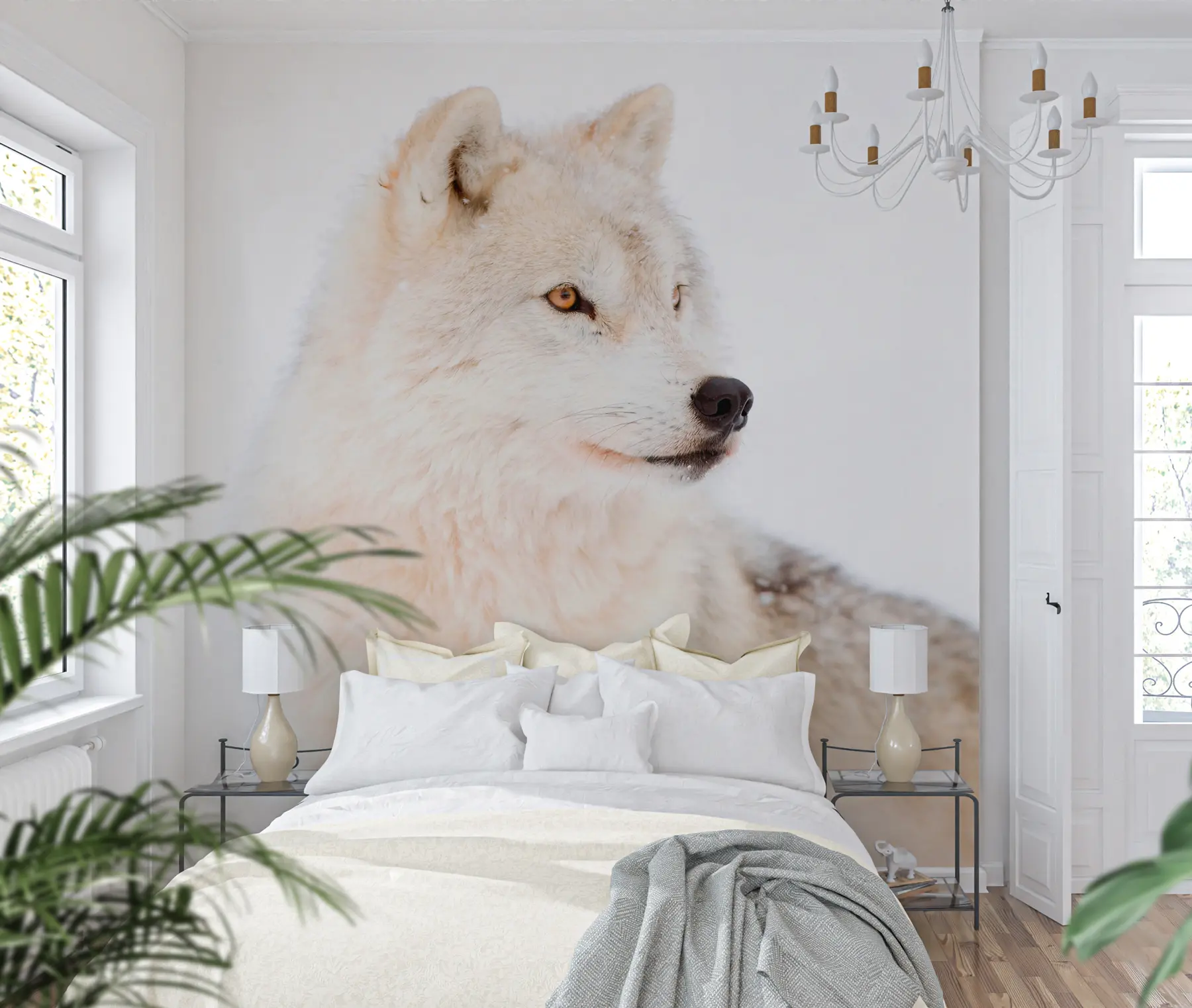 Fototapete Arktischer Wolf auf weißem Hintergrund u98189
