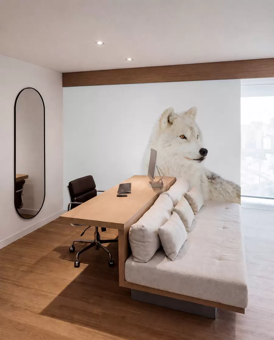Fototapete Arktischer Wolf auf weißem Hintergrund u98189