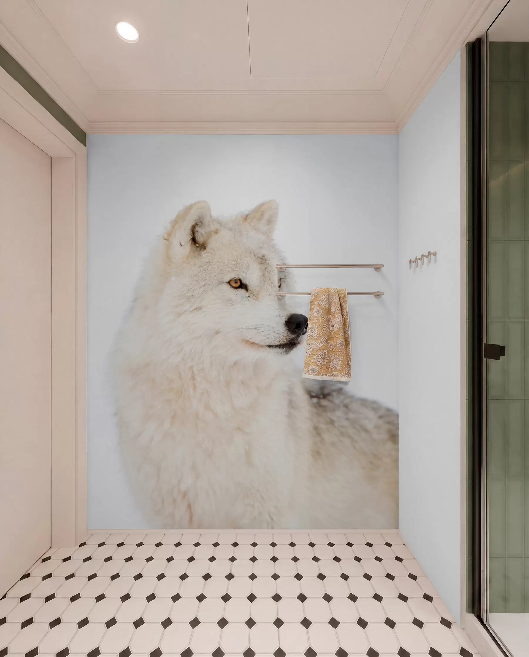 Fototapete Arktischer Wolf auf weißem Hintergrund u98189