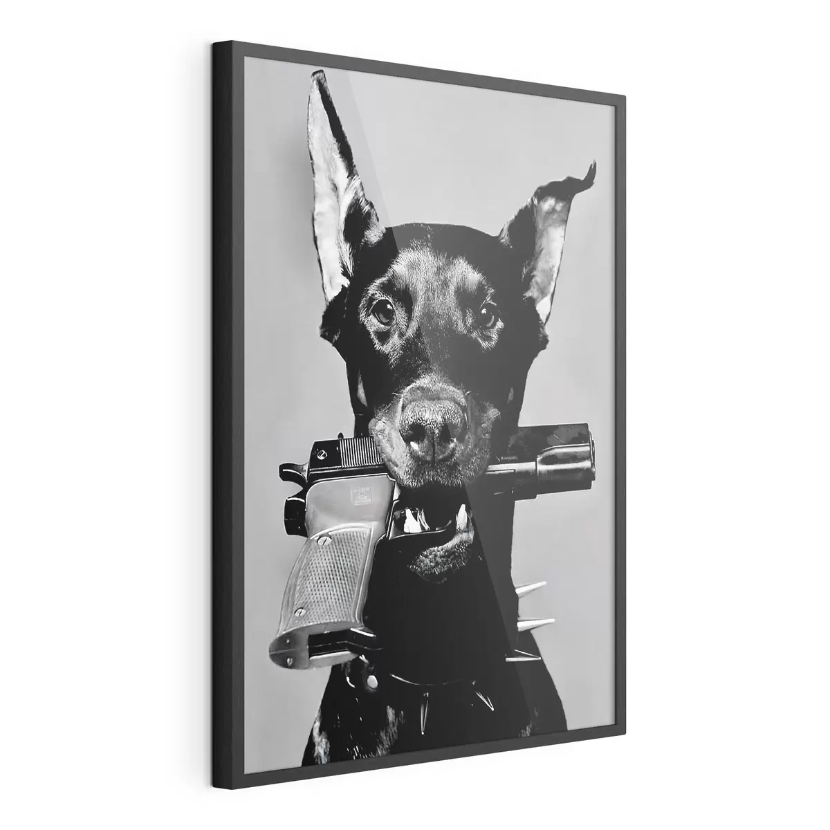 Poster Dobermann in Schwarzweiß f36177