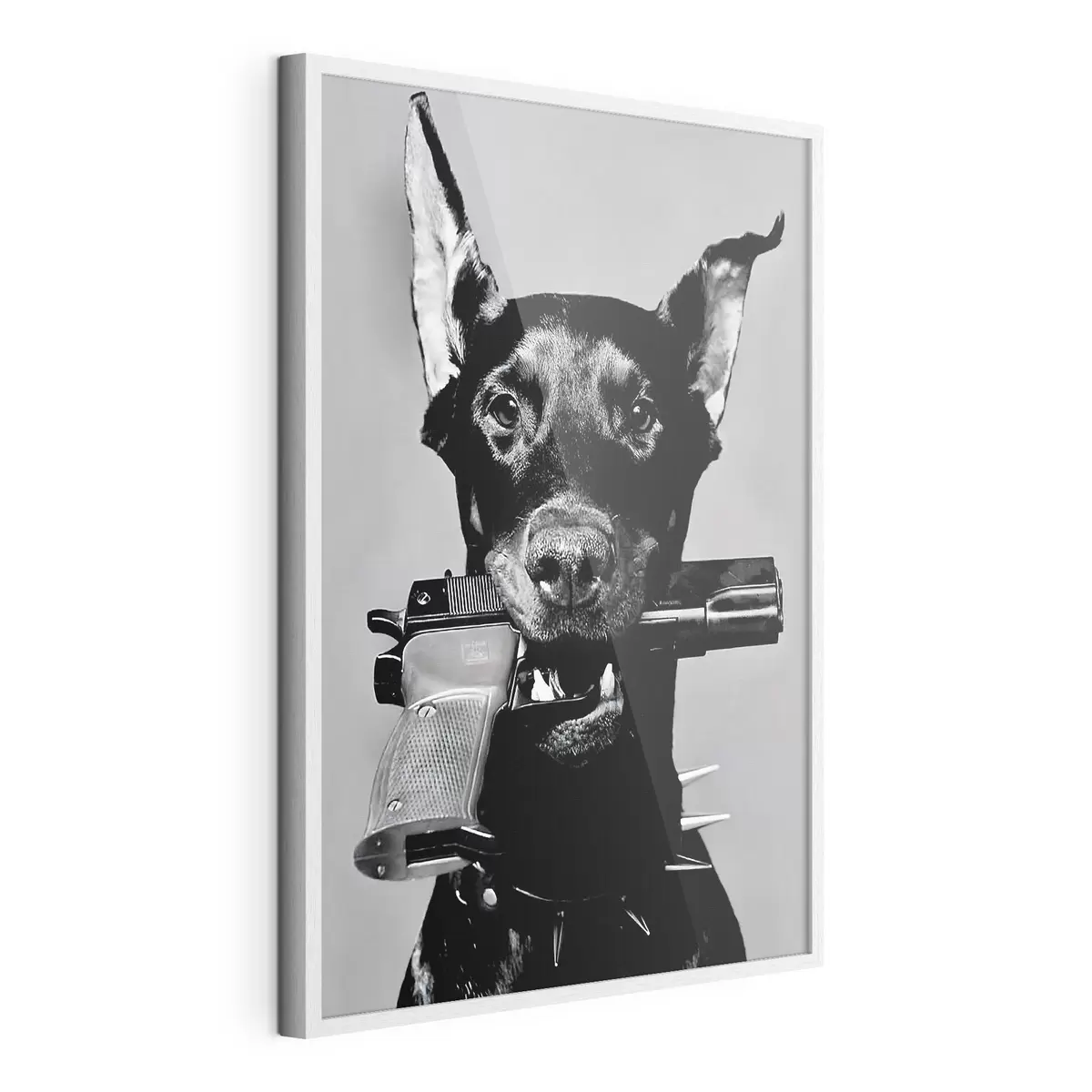 Poster Dobermann in Schwarzweiß f36177