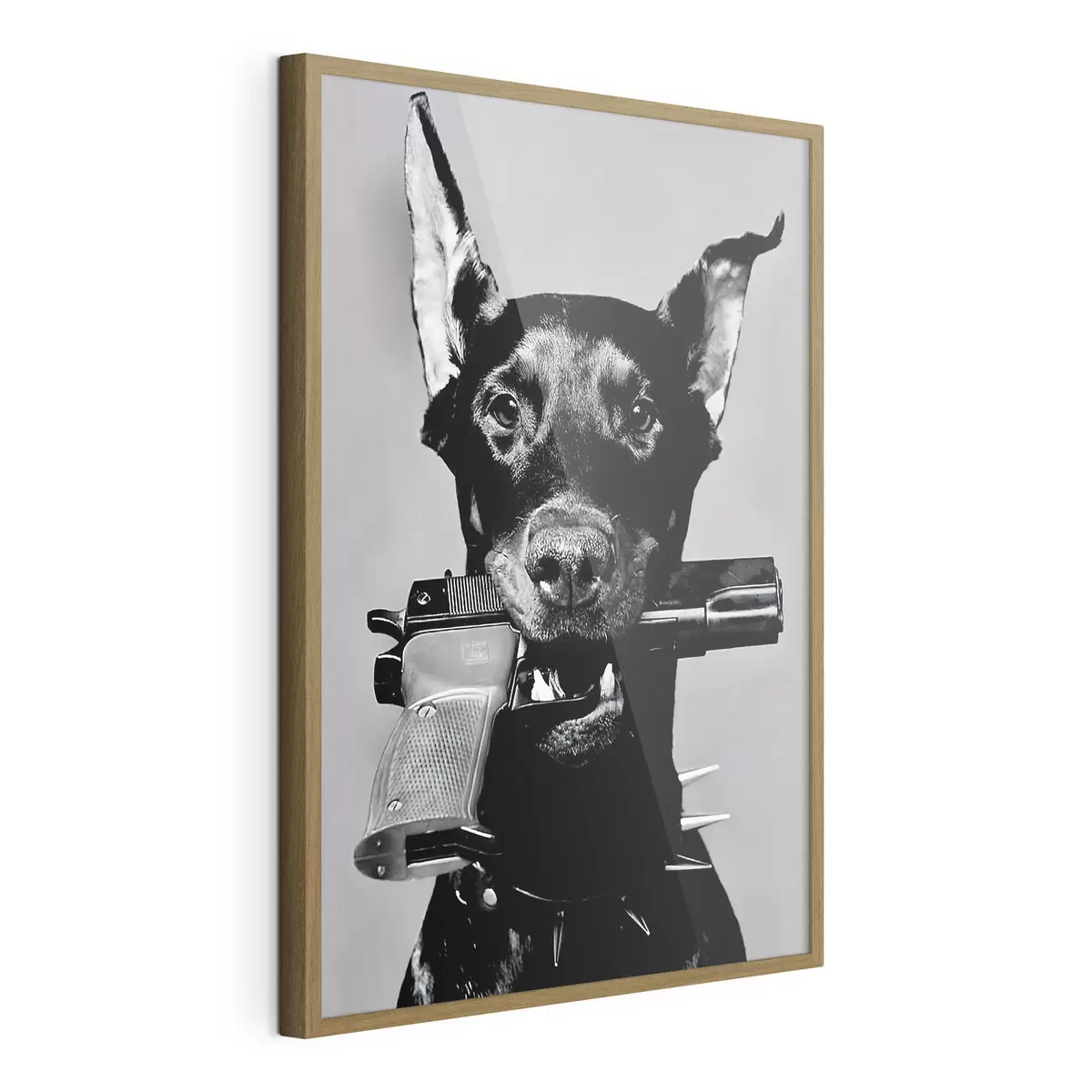 Poster Dobermann in Schwarzweiß f36177
