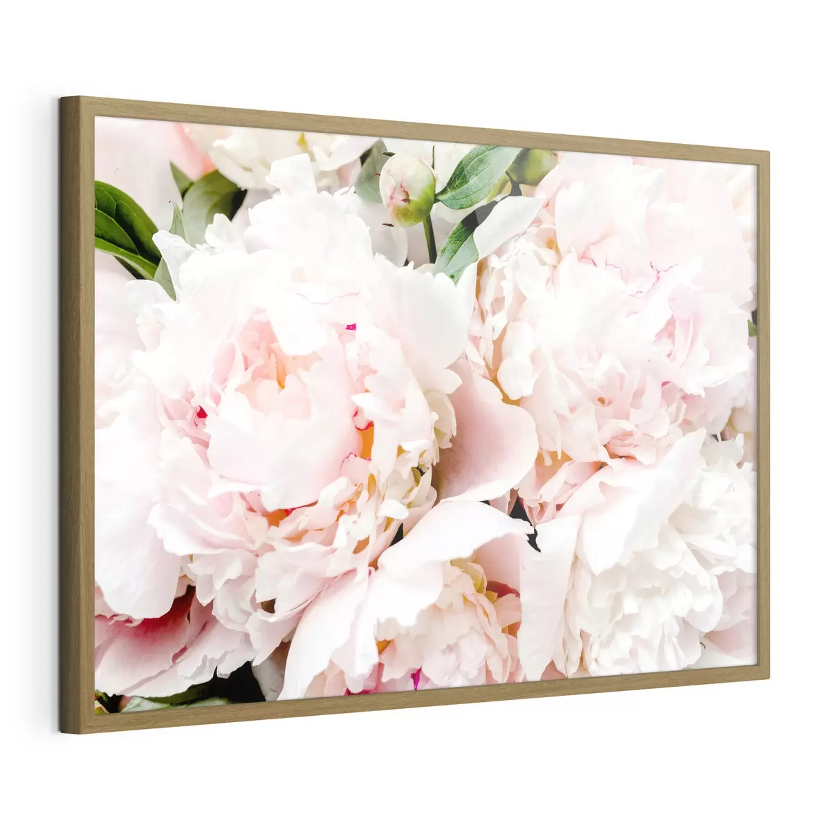 Poster Zart gepuderte Pfingstrosen f35241