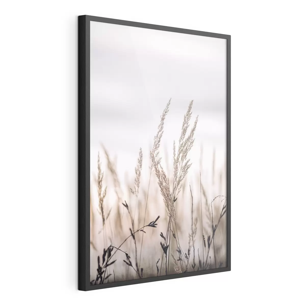 Poster Nahaufnahme des Grashalms gegen den Himmel f33070