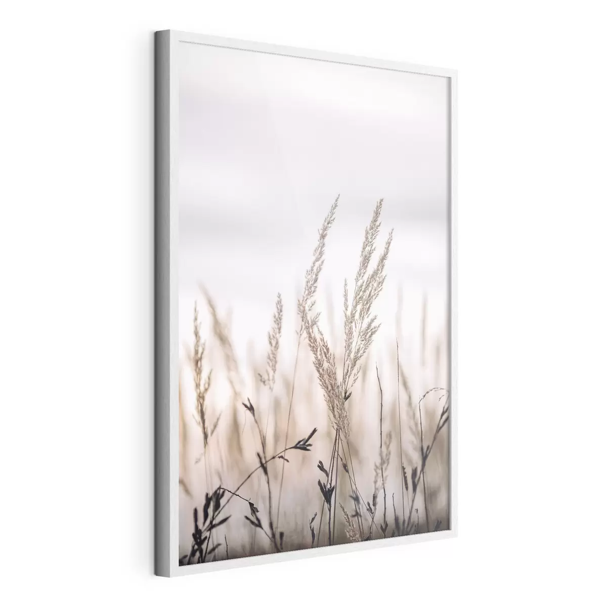 Poster Nahaufnahme des Grashalms gegen den Himmel f33070