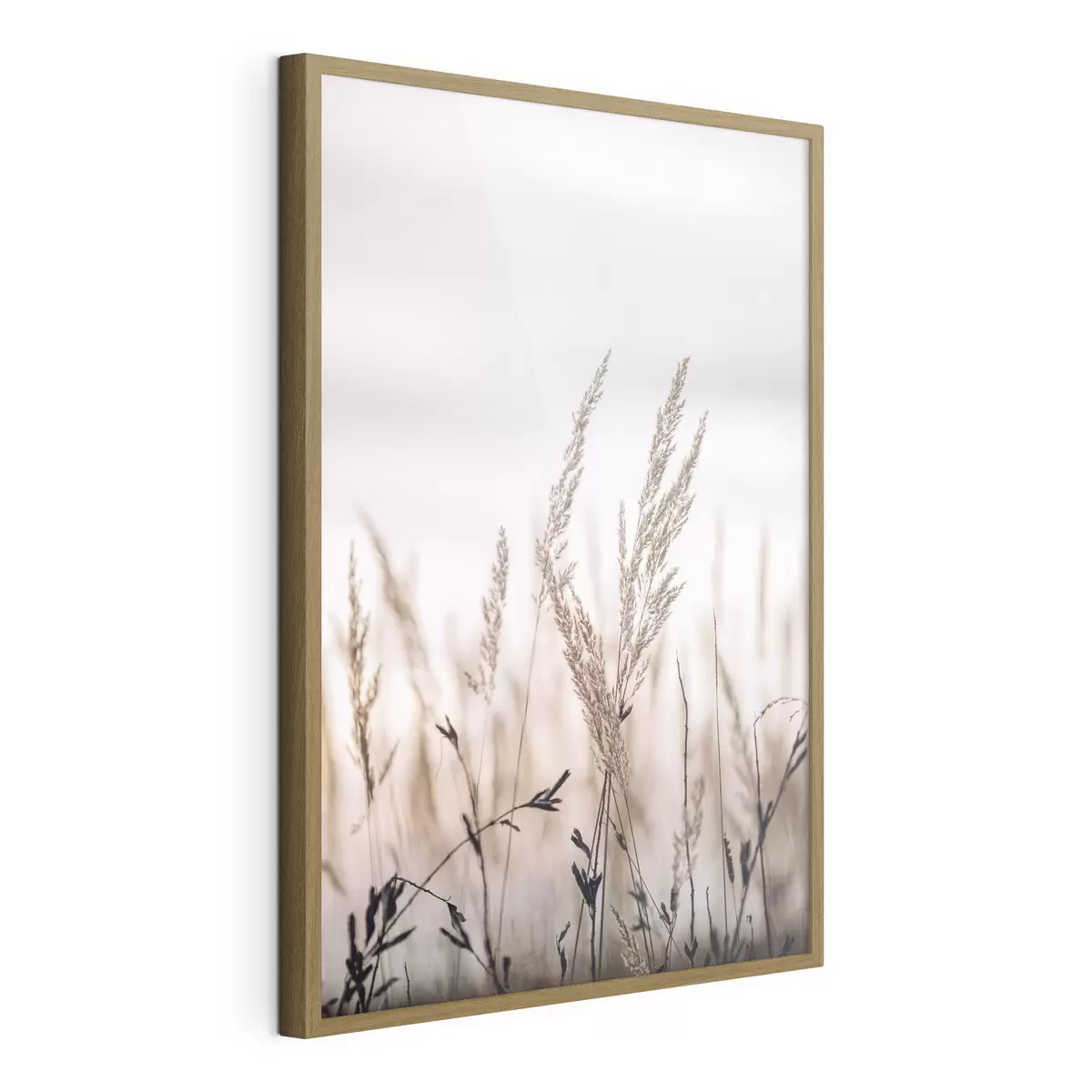 Poster Nahaufnahme des Grashalms gegen den Himmel f33070