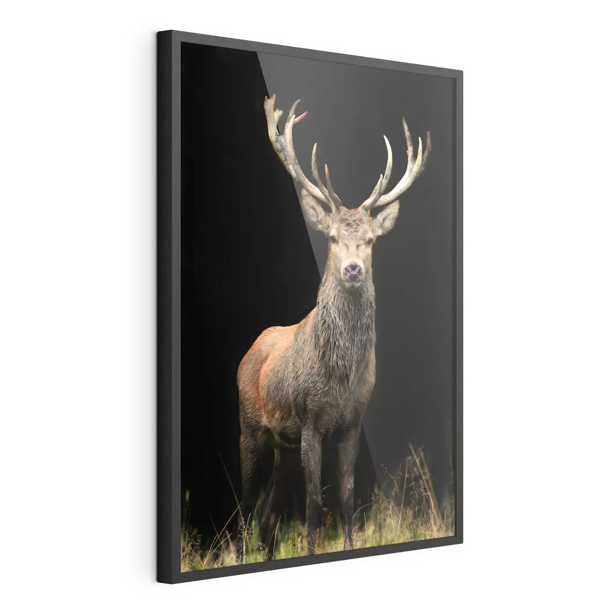 Poster Ein großer, schöner Hirsch f08154