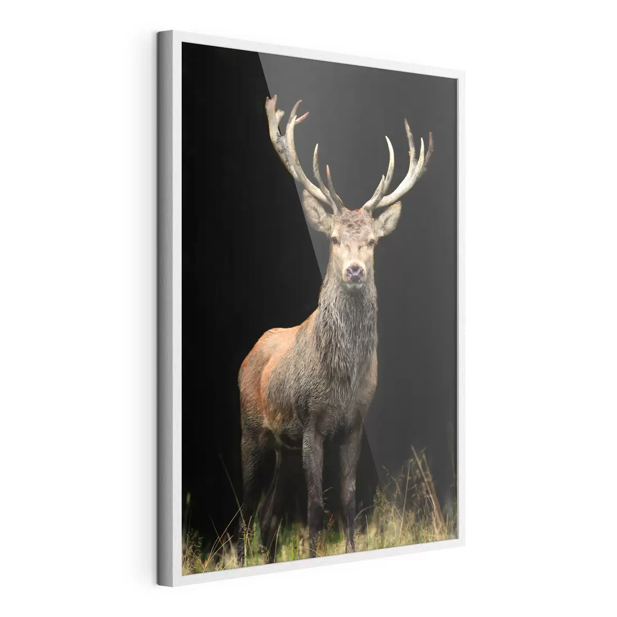 Poster Ein großer, schöner Hirsch f08154