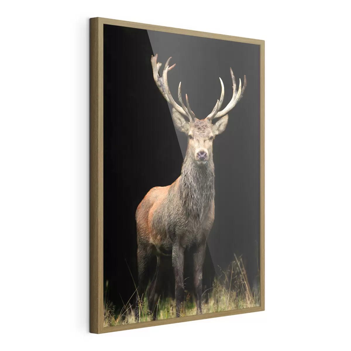 Poster Ein großer, schöner Hirsch f08154